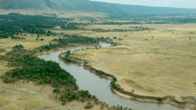Aerial View Mara River Kenya