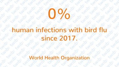 Daily Number 021019 new