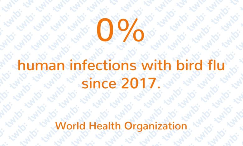 Daily Number 021019 new