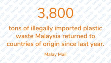 Daily Number 28.01.20