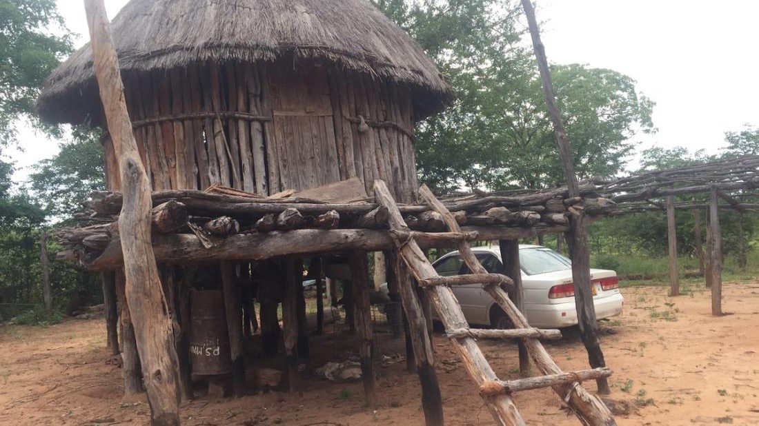 Indigenous People Go Old School Homes on Stilts Better Than Brick Houses twib.news