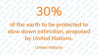 Daily Number 15.03.20