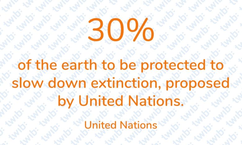 Daily Number 15.03.20