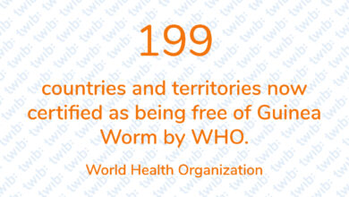 Did you know? 300121