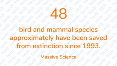 Did you know? 030221