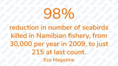 Did you know? 060221