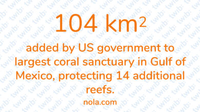 Did you know? 130221