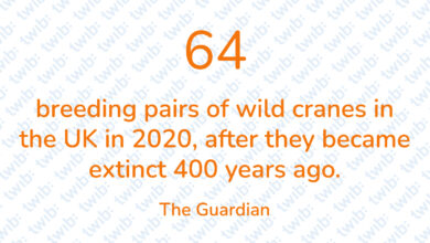 Did you know? 170221