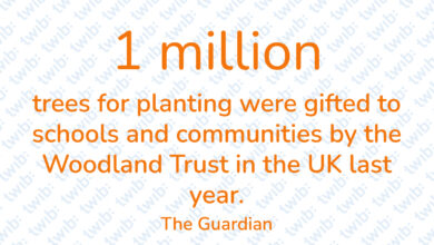 Did you know? 22.02.21