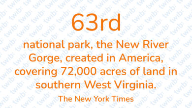 Did you know? 250221