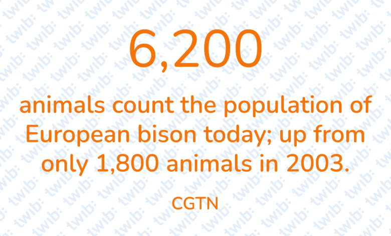 Did you know? 010321