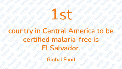 Did you know? 060321