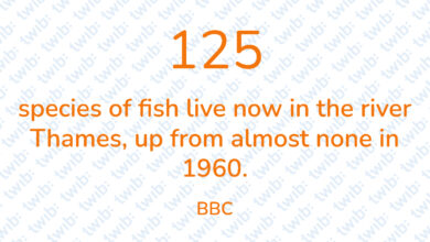 Did you know? 110321