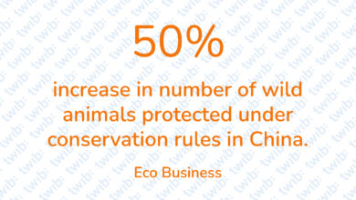 Did you know? 130321