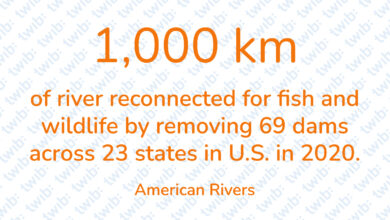 Did you know? 170321