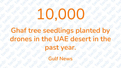 Did you know? 210321