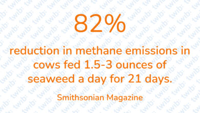 Did you know? 250321