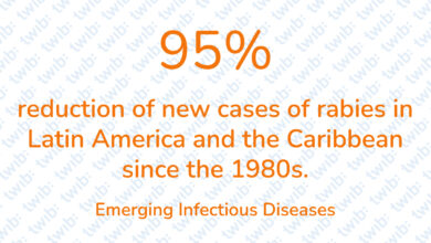 Did you know? 300321