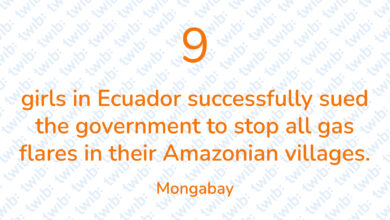 Did you know? 240321