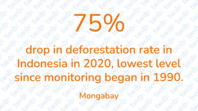 Did you know? 020421