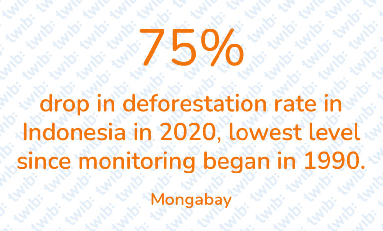 Did you know? 020421