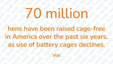 Did you know? 050421