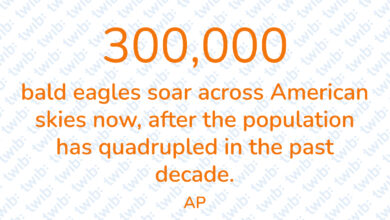 Did you know? 150421