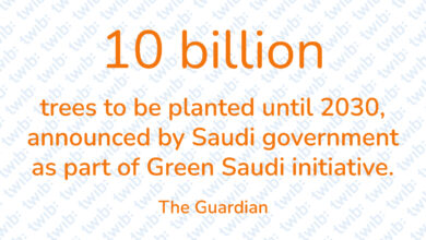 Did you know? 200421