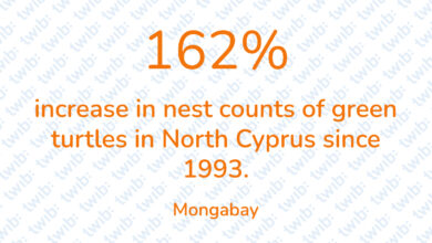 Did you know? 270421