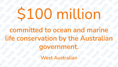 Did you know? 300421