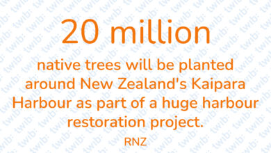 Did you know? 160521