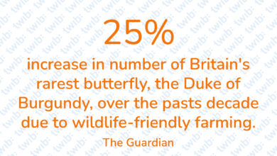 Did you know? 170521