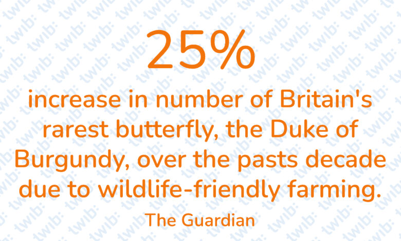 Did you know? 170521