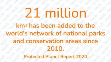 Did you know? 260521