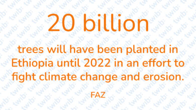 Did you know? 290521