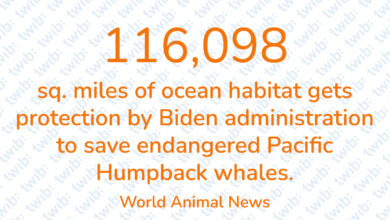 Did you know? 310521