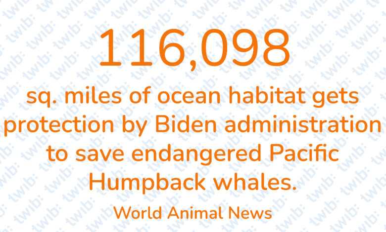 Did you know? 310521