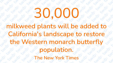 Did you know? 030621