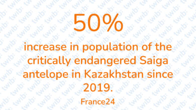 Did you know? 130621