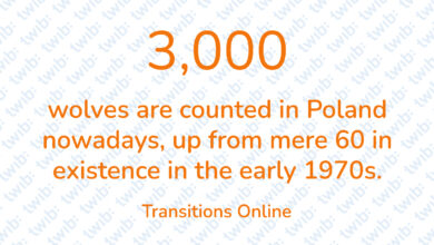 Did you know? 210618