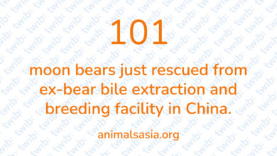 Did you know? 300621