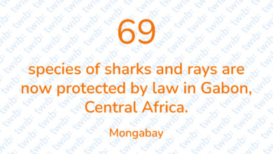 Did you know? 020721