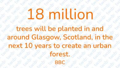 Did you know? 150621