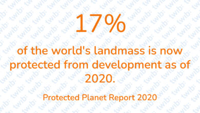 Did you know? 050721