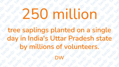 Did you know? 130721