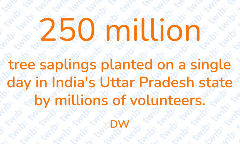 Did you know? 130721