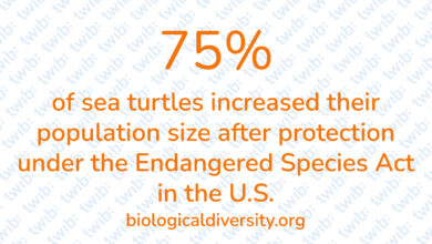 Did you know? 180821