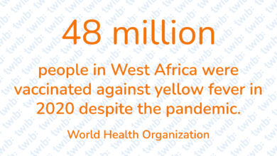 Did you know? 310821