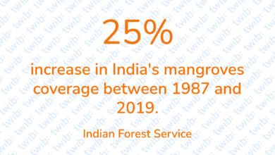 Did you know? 080921