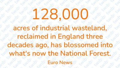 Did you know? 140921